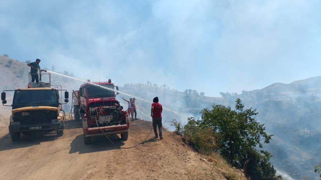 Bingöl'ün Genç ve Kiğı ilçelerinde orman yangını 11